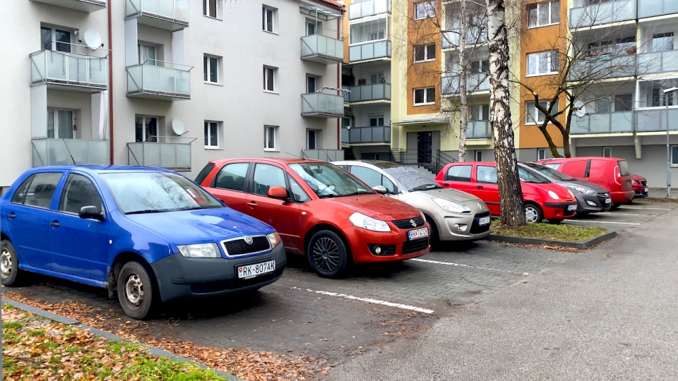 Rok regulovaného parkovania